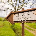 Vallone Di Cecione 팜스테이